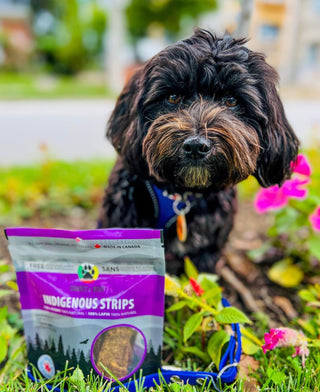 Indigenous Rabbit Strip Pet Treats