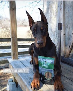 Rabbit Roll Pet Treats